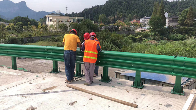 西藏高速公路护栏板的维护确保道路安全的关键环节
